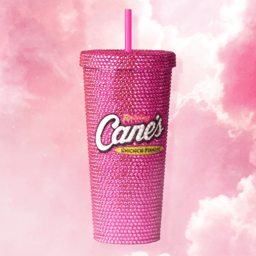 Limited Edition Rhinestone Tumbler 24oz